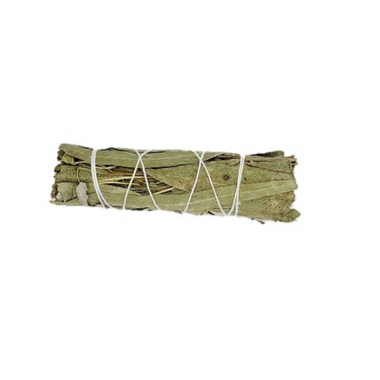 Eucalyptus Smudging Bundle 3"- 4" Long - Cleansing and Energizing