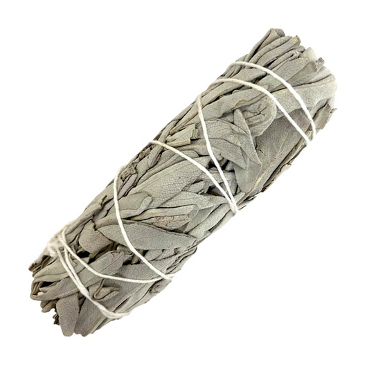 White Sage Smudge Bundle 6" - Purify Your Space and Body